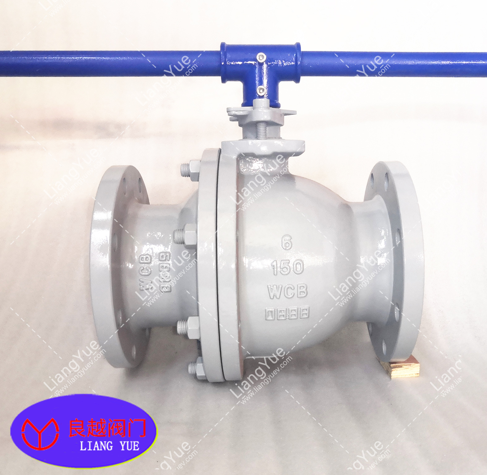 ���˸������y