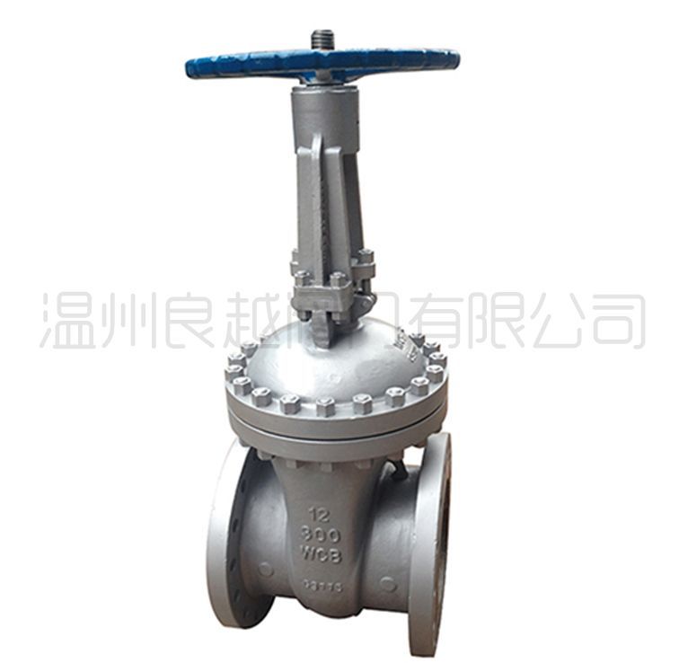 300LB�����l�y