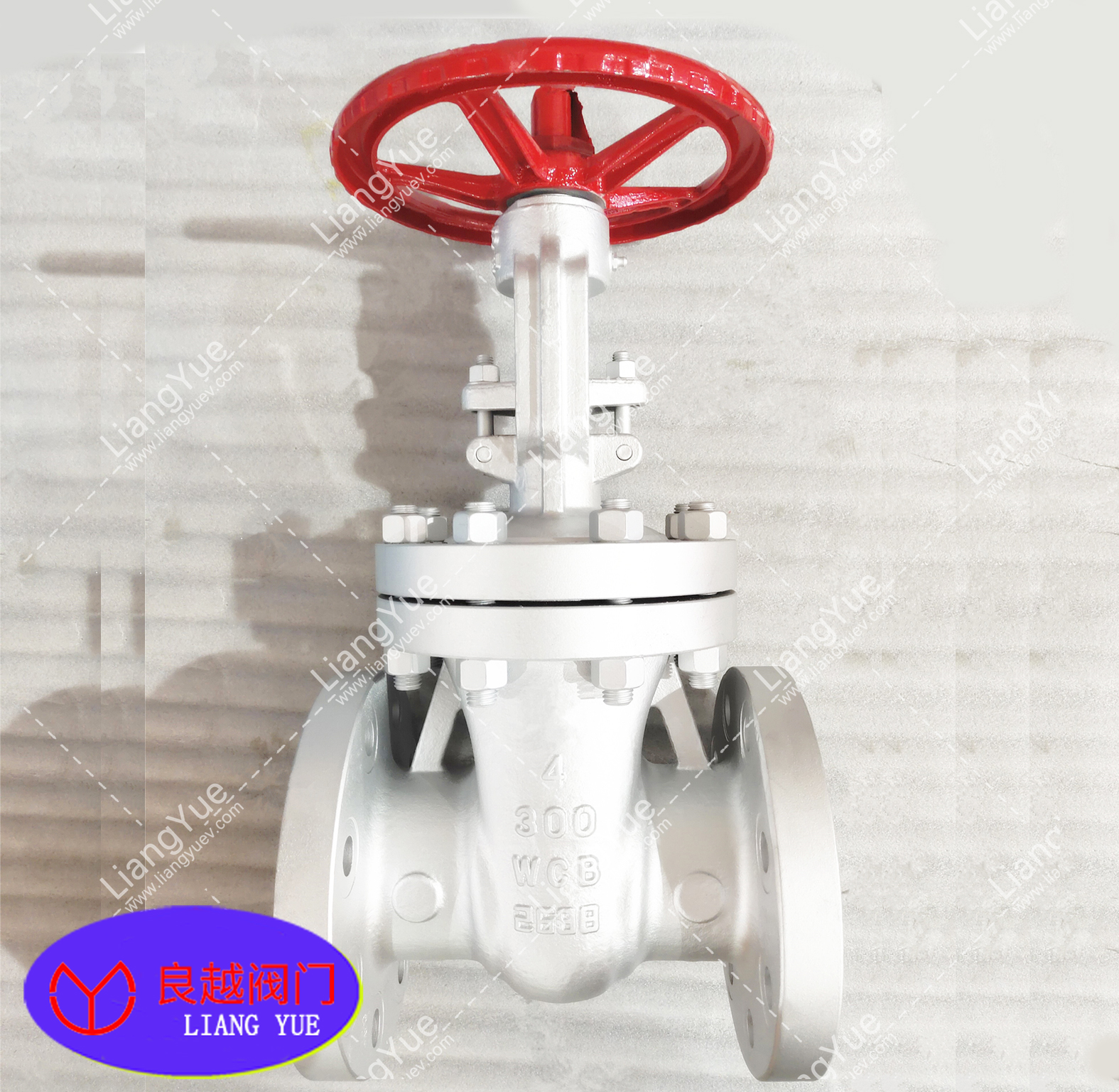 美標閘閥CLASS300